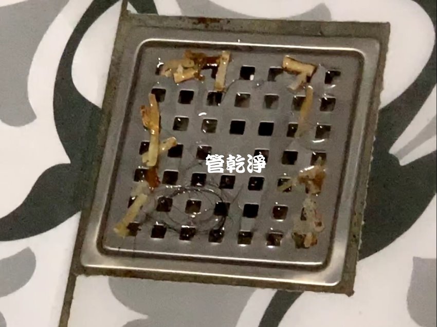 水管流出魷魚絲? 新北 淡水區 北新路 洗水管